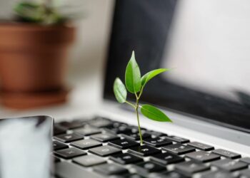 Nachhaltigkeit im Unternehmen – Möglichkeiten für eine grünere Firma