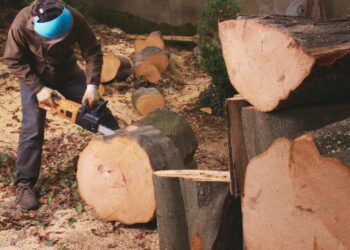 Zukunftsorientierte Forstwirtschaft: Amortisations-Konzepte für Maschinen