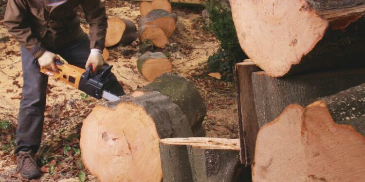 Zukunftsorientierte Forstwirtschaft: Amortisations-Konzepte für Maschinen