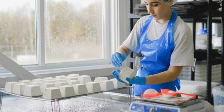 Hygiene und Sicherheit in der Lebensmittelindustrie: Komplexe Anforderungen richtig meistern