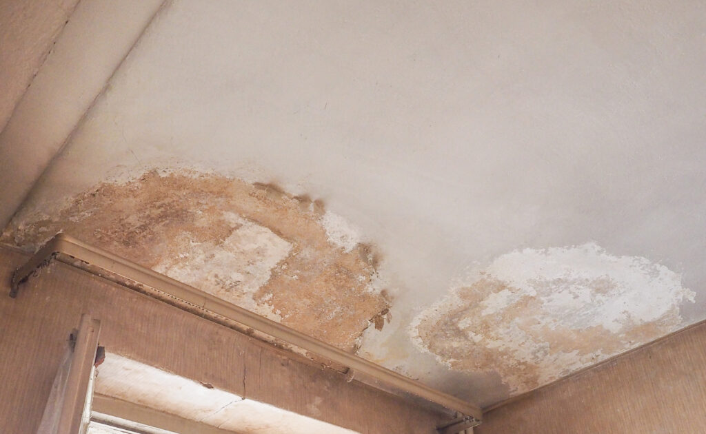 Ablauf nach einem Wasserschaden: Was passiert, wenn Feuchtigkeit in Bauteile gelangt?